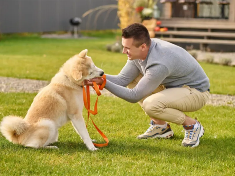 Queremos conocer qué tan impulsivos son los perros en Chile